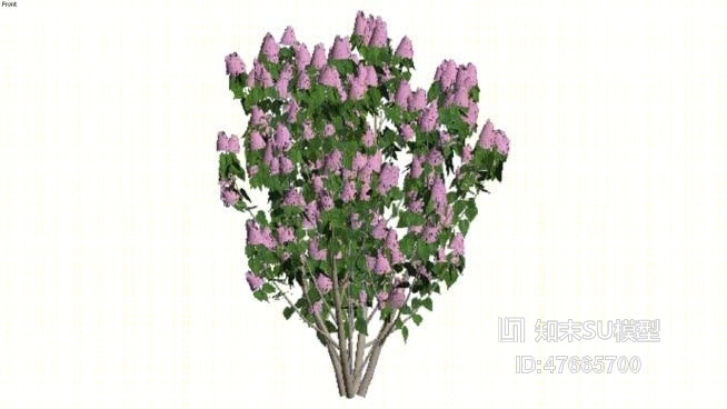 树SU模型下载【ID:47665700】