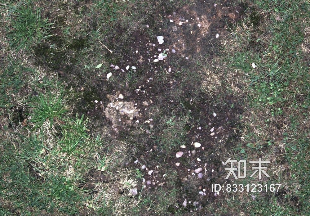 草坪贴图下载【ID:833123167】