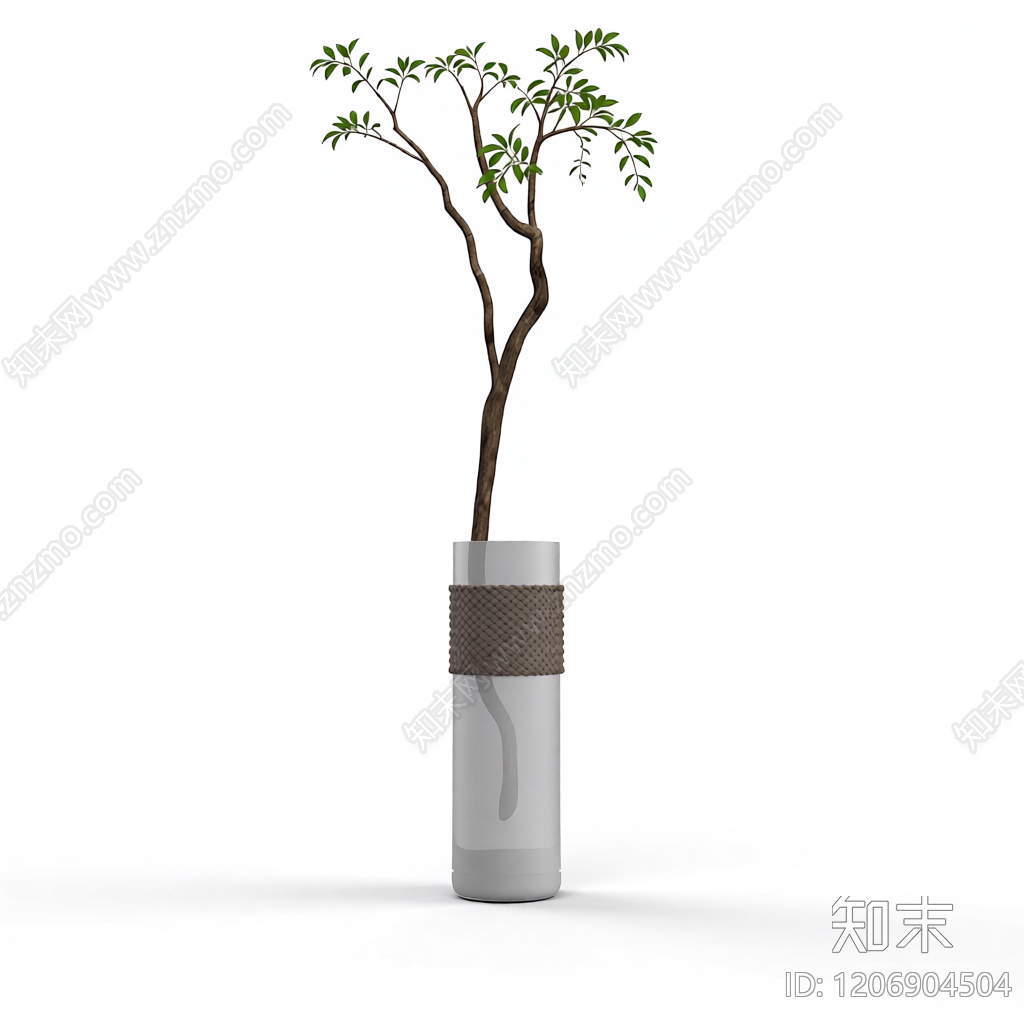盆栽植物装饰3D模型下载【ID:1206904504】
