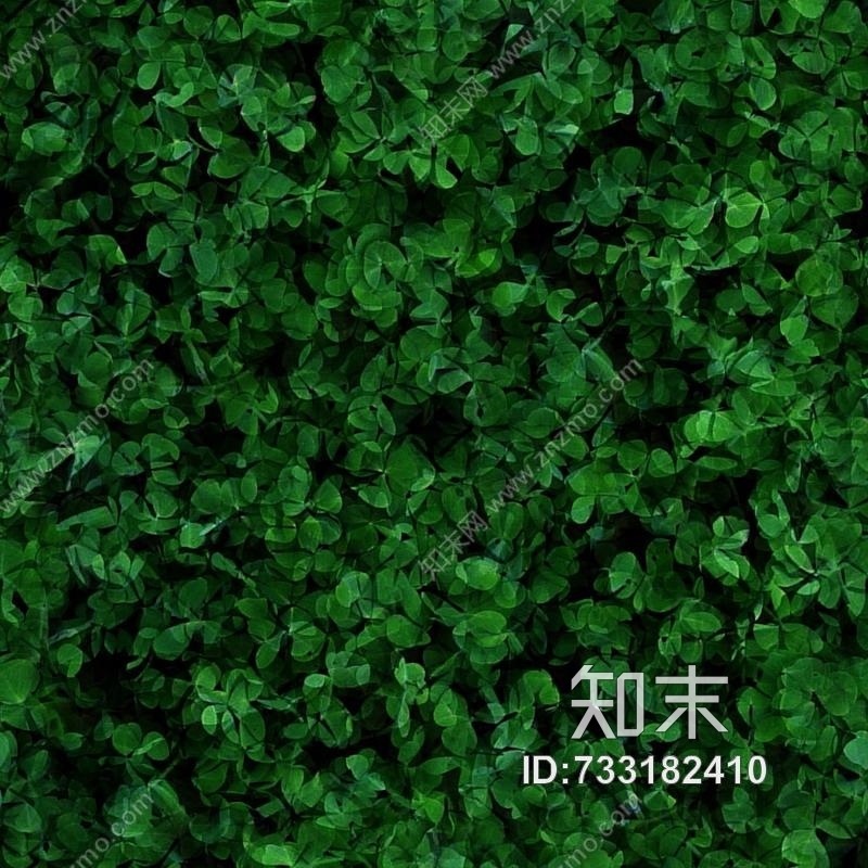植物贴图下载【ID:733182410】