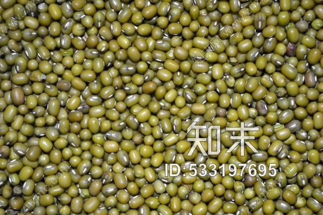 绿豆贴图下载【ID:533197695】