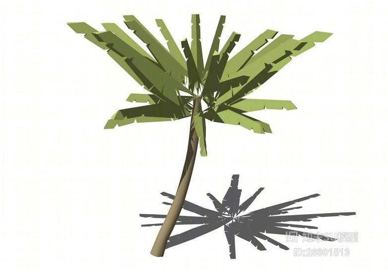 3D棕榈科植物SU模型下载【ID:26601513】