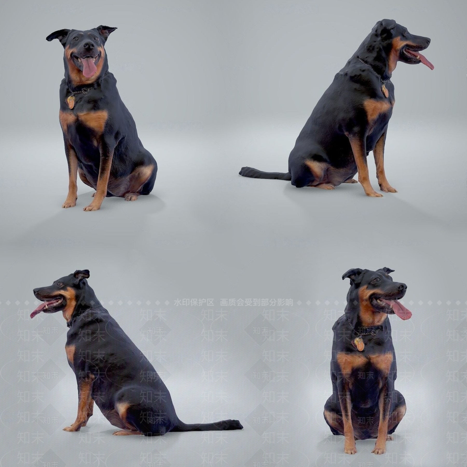 现代狼狗动物3D模型下载【ID:281683150】