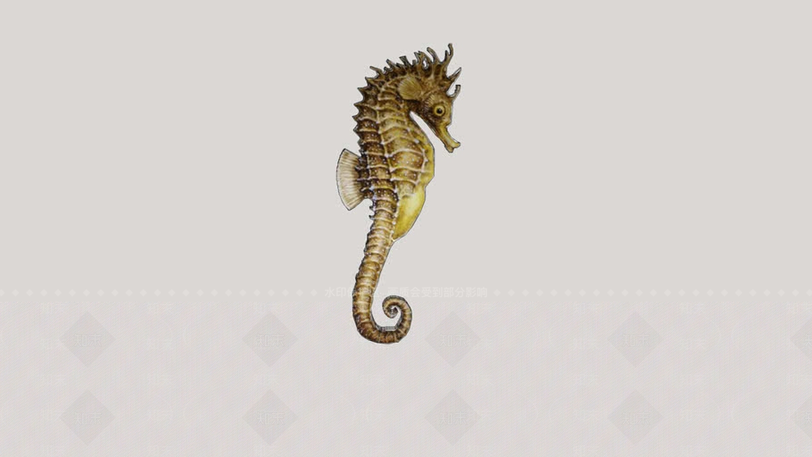 海马SU模型下载【ID:1162226262】
