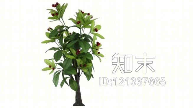 果树01SU模型下载【ID:121337665】