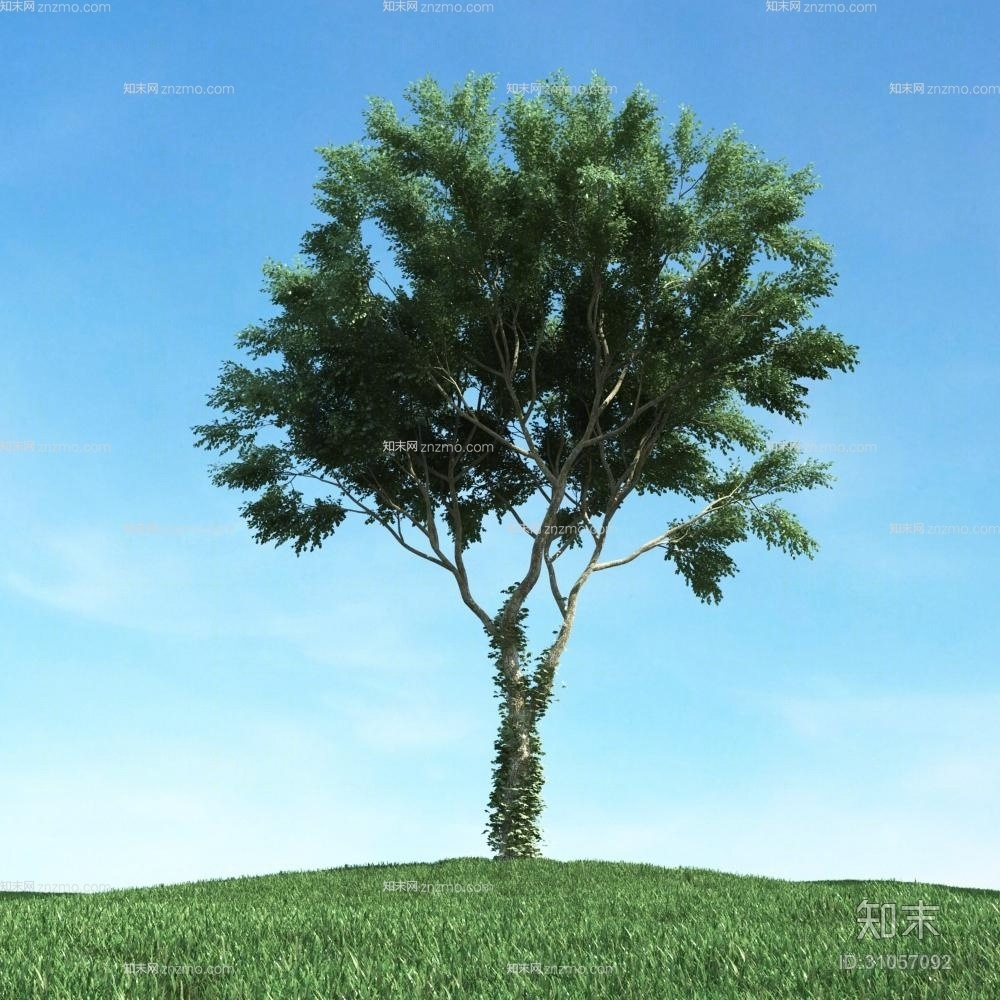 绿色景观树3D模型下载【ID:31057092】