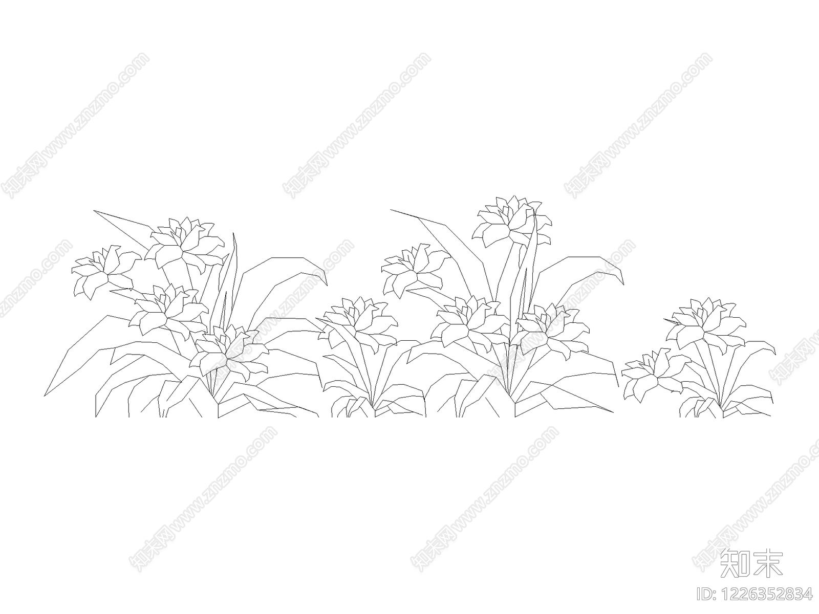 现代花CAD图纸