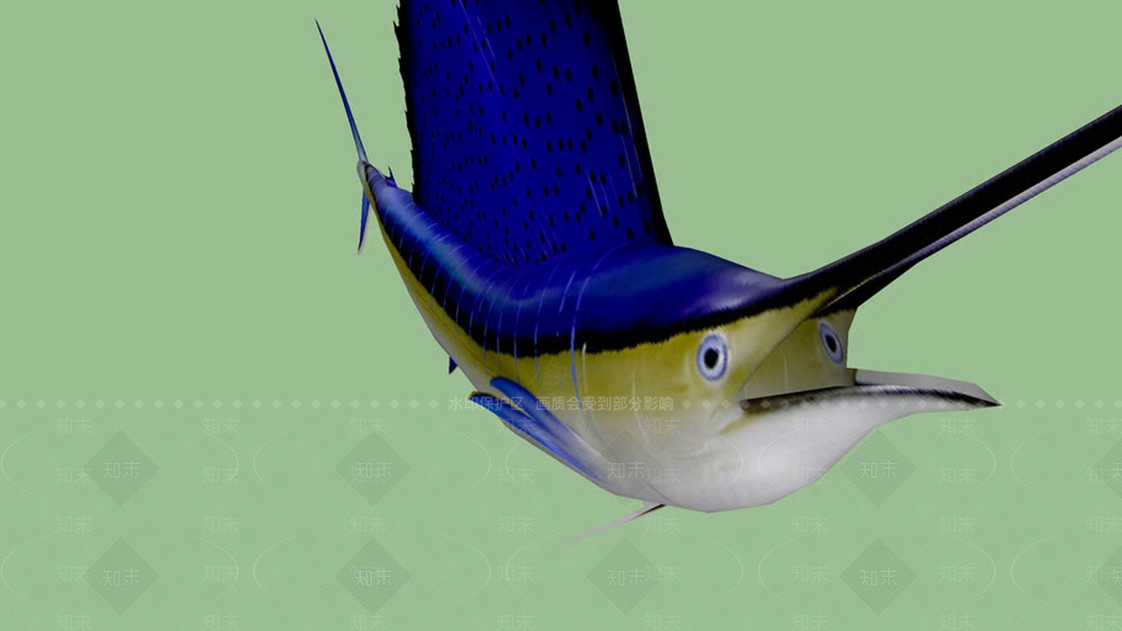 Atlantictax-SailfishSU模型下载【ID:1162057104】