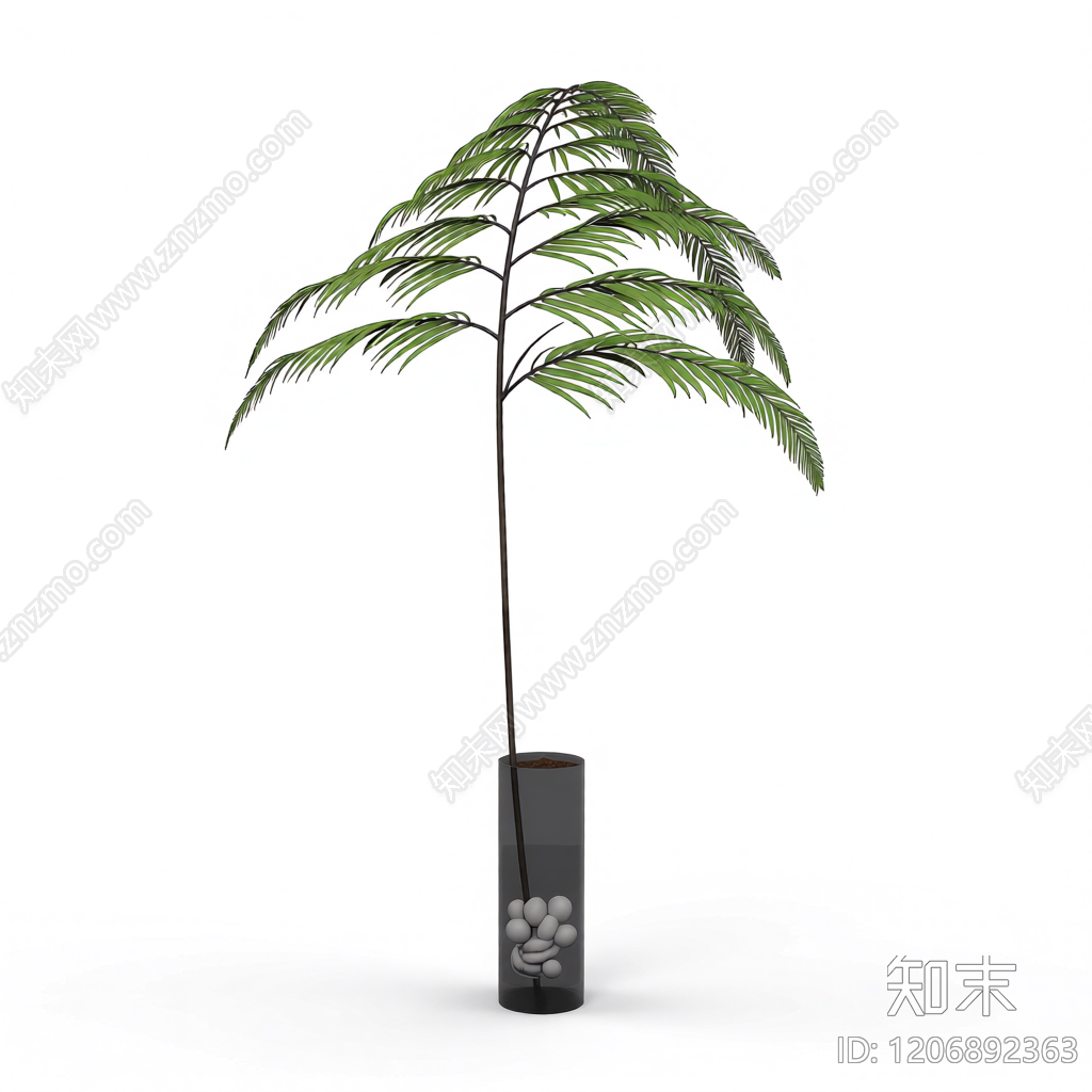 盆栽蕨类植物3D模型下载【ID:1206892363】