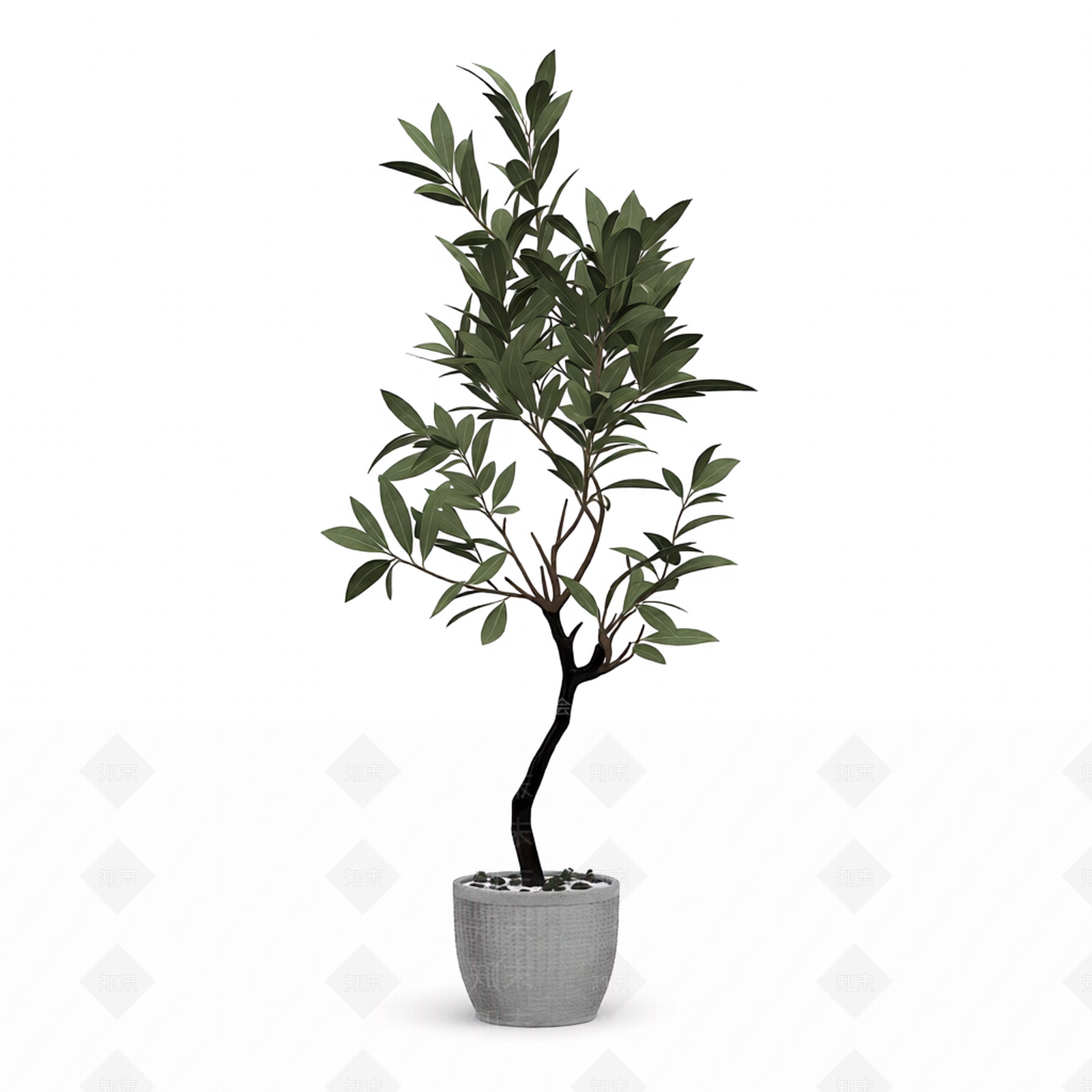 带盆绿植盆栽3D模型下载【ID:1206192872】