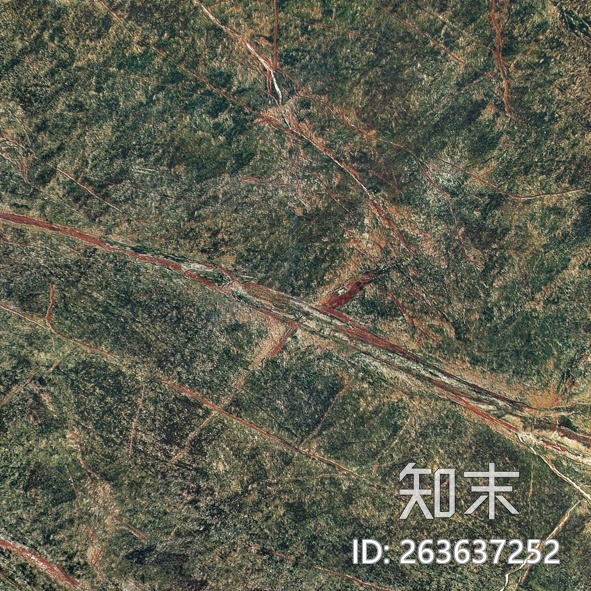 雨林绿.jpg贴图下载【ID:263637252】