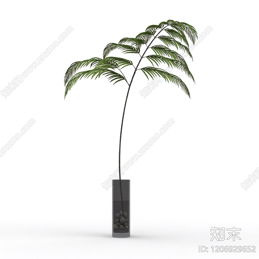 盆栽蕨类植物3D模型下载【ID:1206929652】