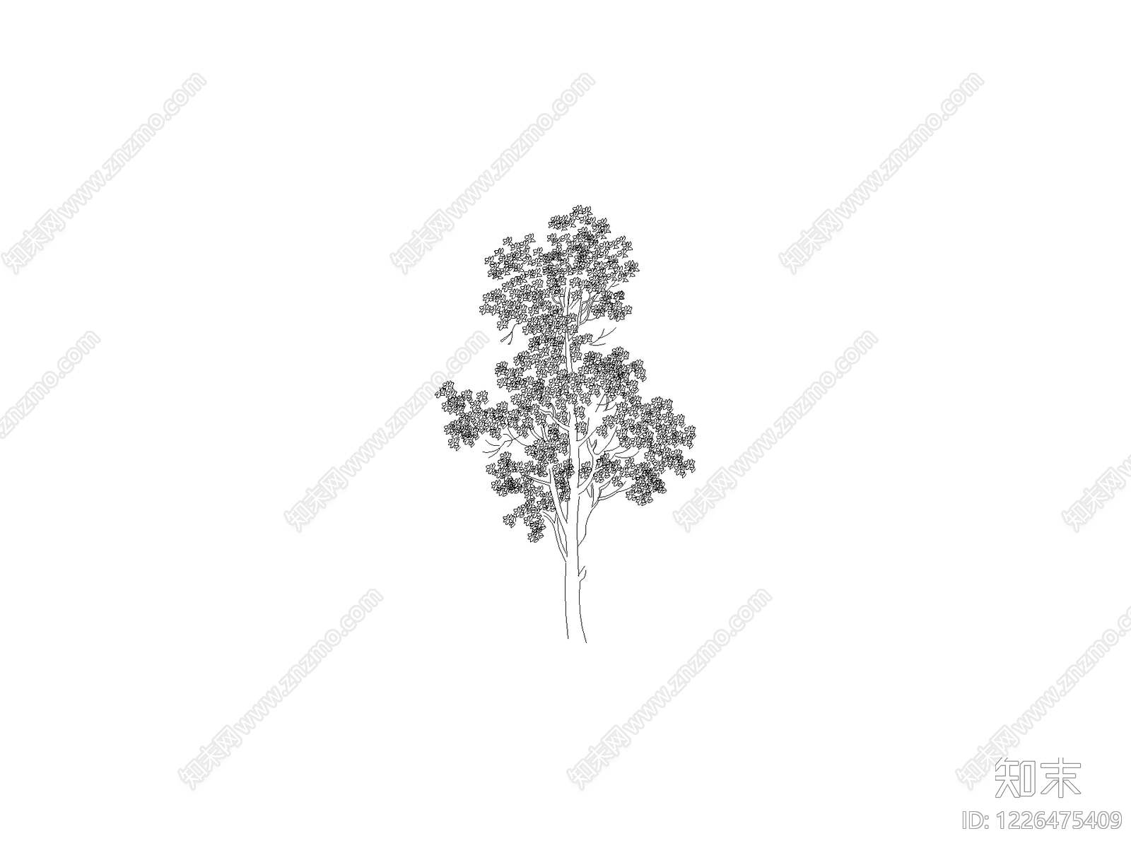 乔木种植cad施工图下载【ID:1226475409】