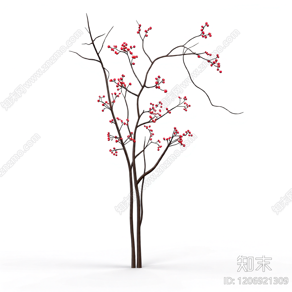 带果枝条装饰3D模型下载【ID:1206921309】