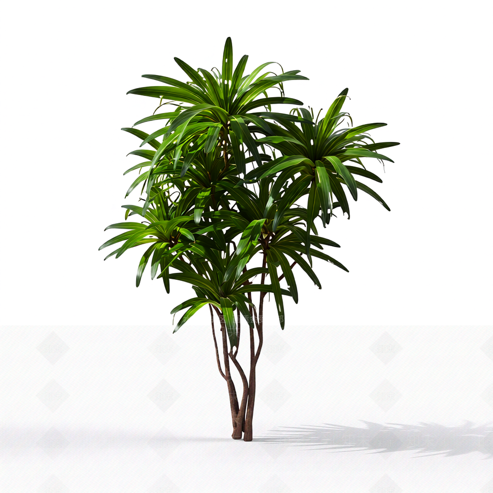 多枝叶植物模型3D模型下载【ID:1206185203】