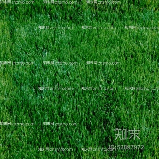 草地贴图下载【ID:52897972】