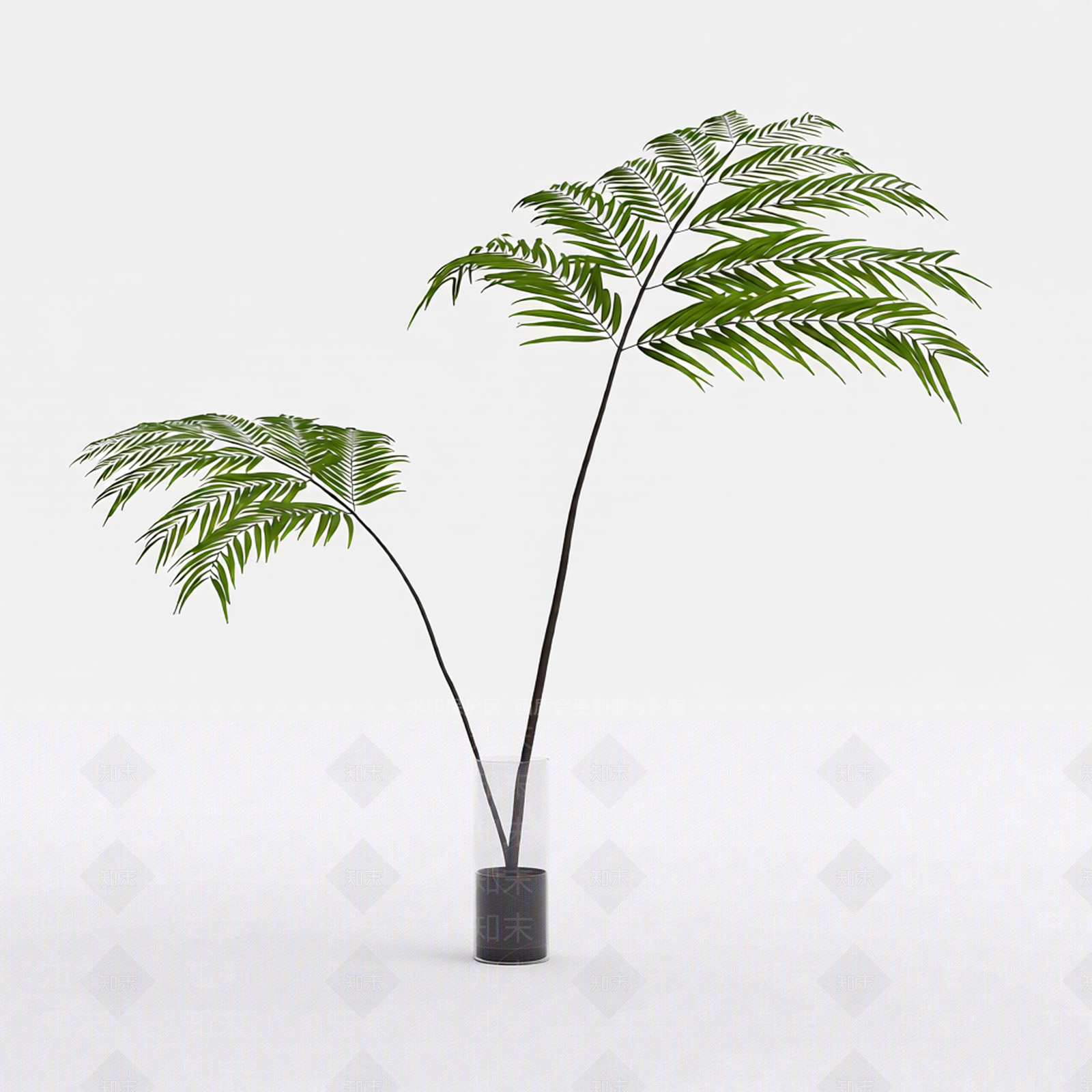 带盆蕨类盆栽3D模型下载【ID:1206197645】