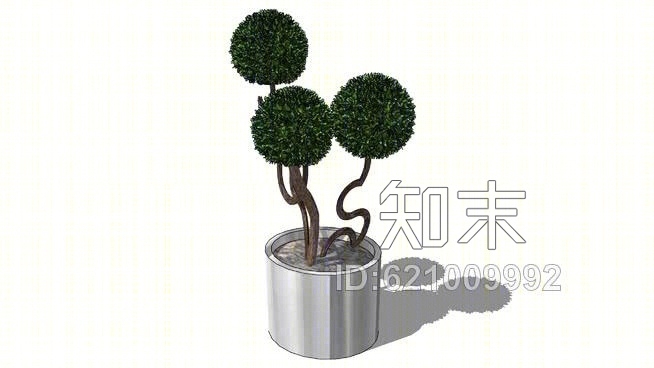 稳定的绿色植物常春藤3头lit3t参考：SU模型下载【ID:621009992】