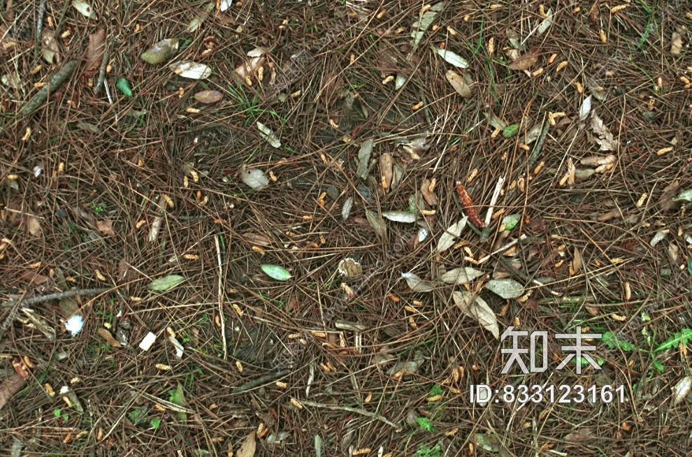 地面贴图下载【ID:833123161】