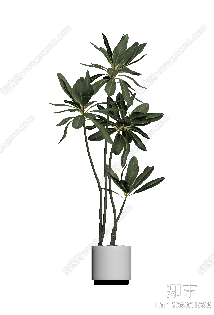 盆栽植物组合3D模型下载【ID:1206901986】