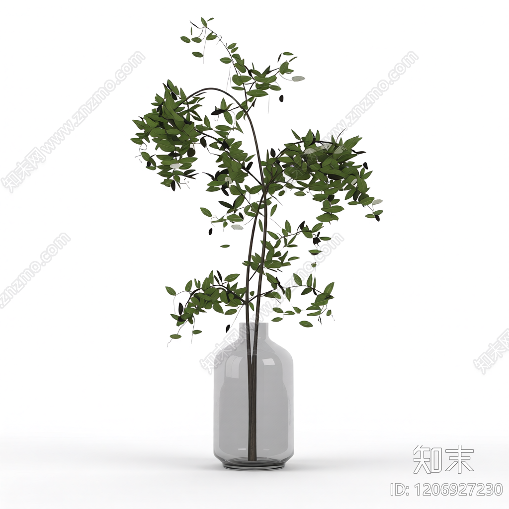 盆栽植物装饰3D模型下载【ID:1206927230】