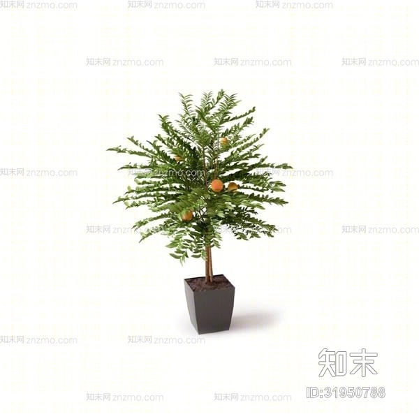 绿色盆栽3D模型下载【ID:31950788】