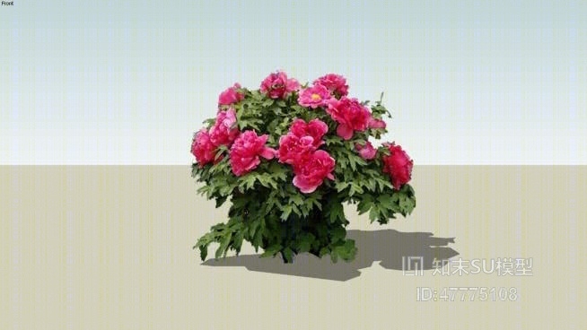 花SU模型下载【ID:47775108】