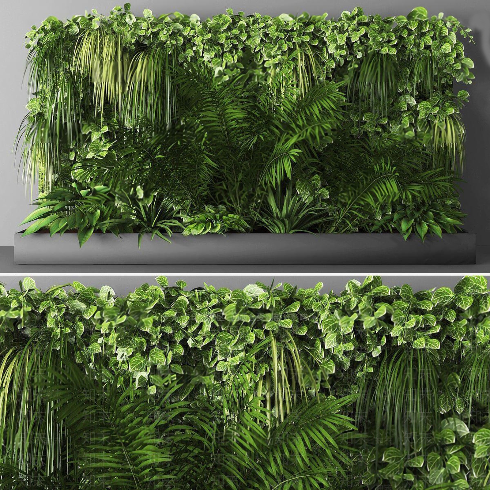 现代绿植墙3D模型下载【ID:188398150】