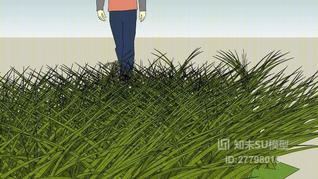 草SU模型下载【ID:27798015】
