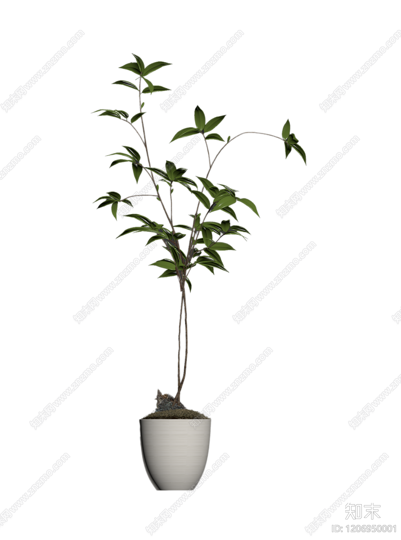 盆栽植物装饰3D模型下载【ID:1206950001】