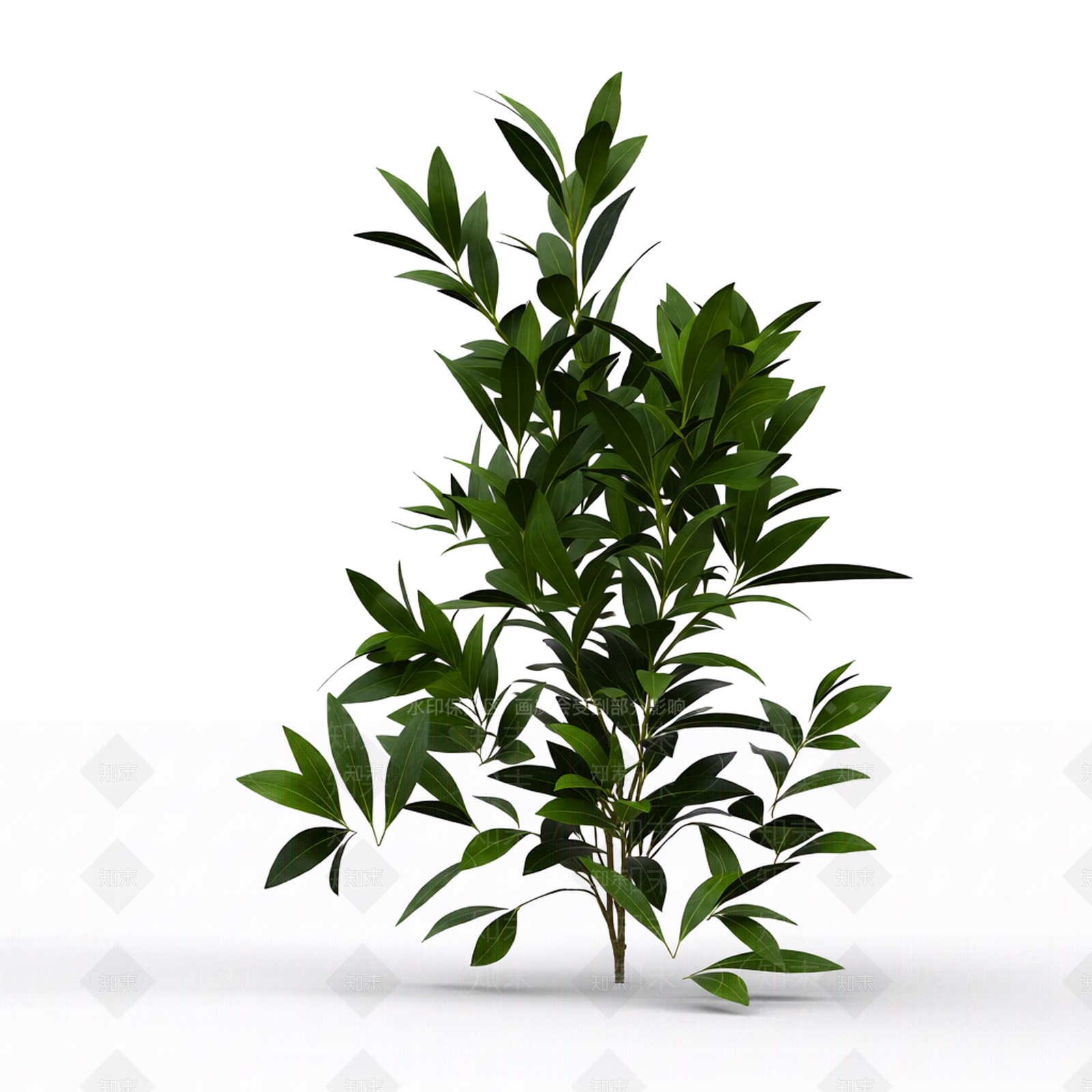 绿色植物模型3D模型下载【ID:1206192854】