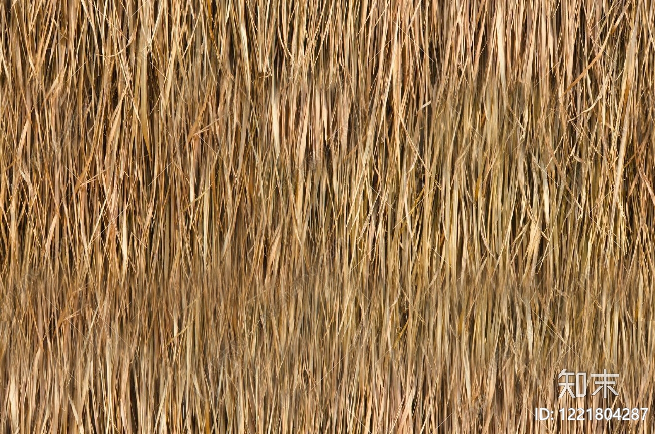 茅草高清贴图材质