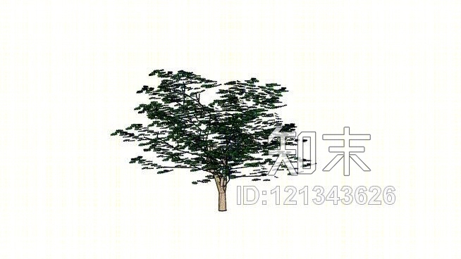 山茱萸树SU模型下载【ID:121343626】