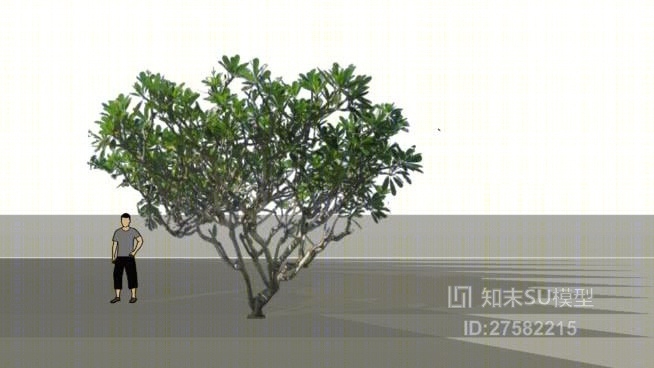 树SU模型下载【ID:119288624】