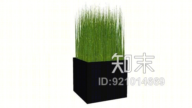 盆栽草SU模型下载【ID:921014669】