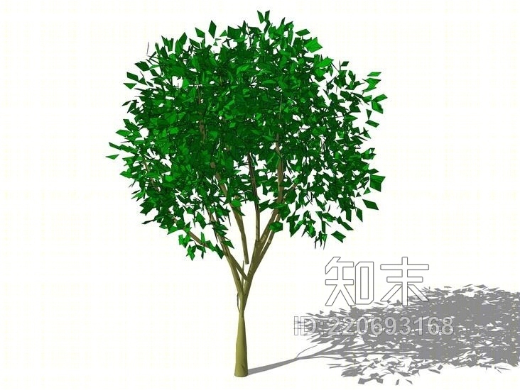 3D植物树SU模型下载【ID:220693168】