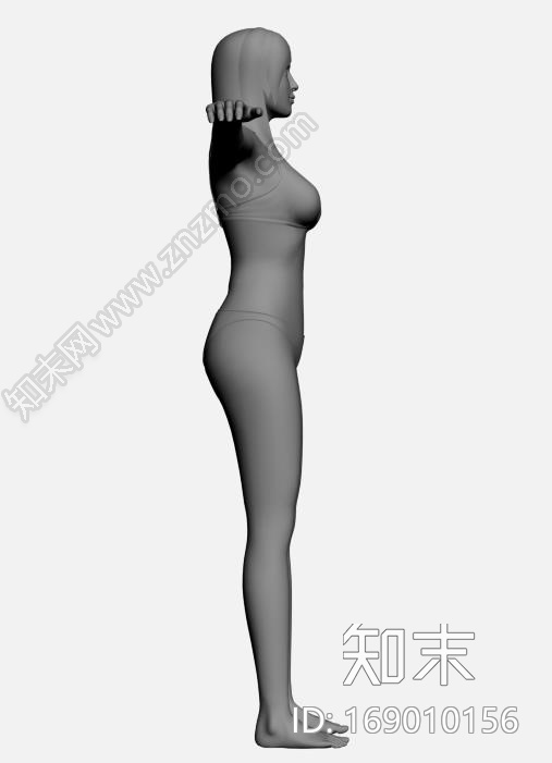 高精美女人体建模CG模型下载【ID:169010156】