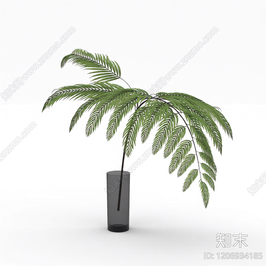 盆栽蕨类植物3D模型下载【ID:1206934185】