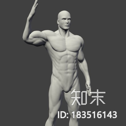 实时肌肉系统男性CG模型下载【ID:183516143】