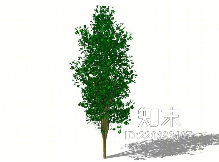 3D植物树SU模型下载【ID:220693167】
