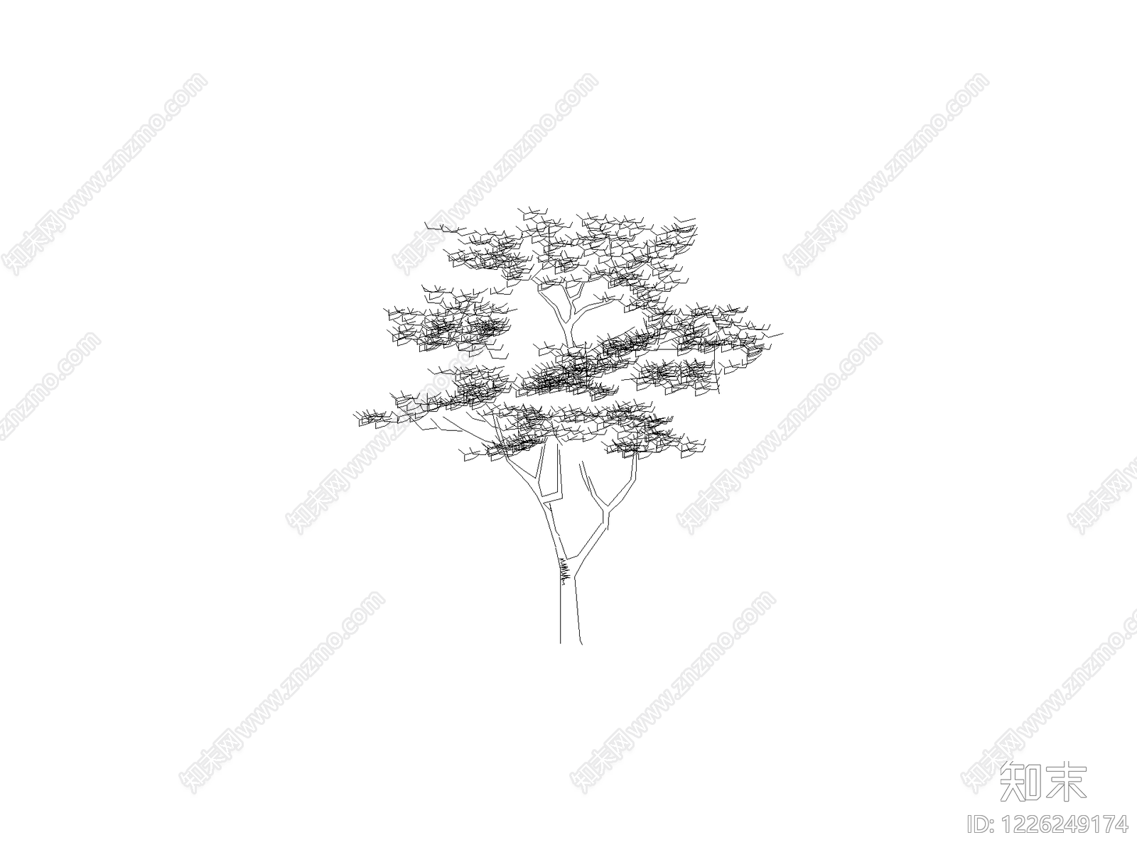 乔木种植CAD图纸