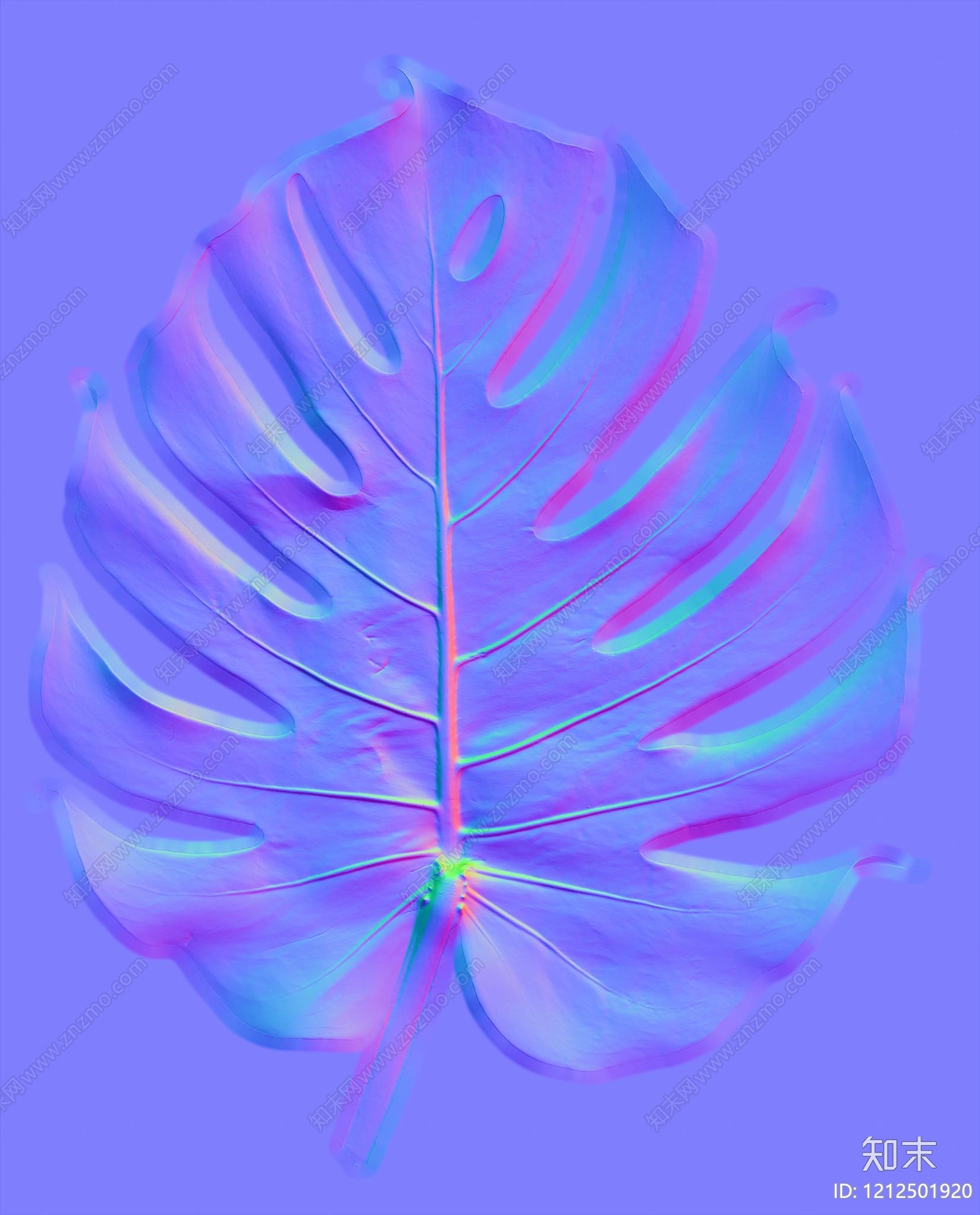 叶片纹理贴图下载【ID:1212501920】