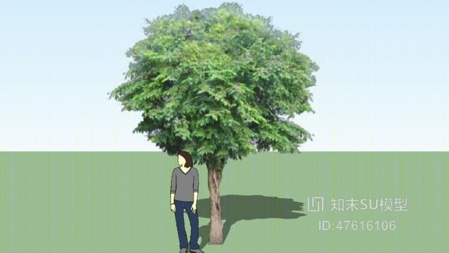 树SU模型下载【ID:119326674】