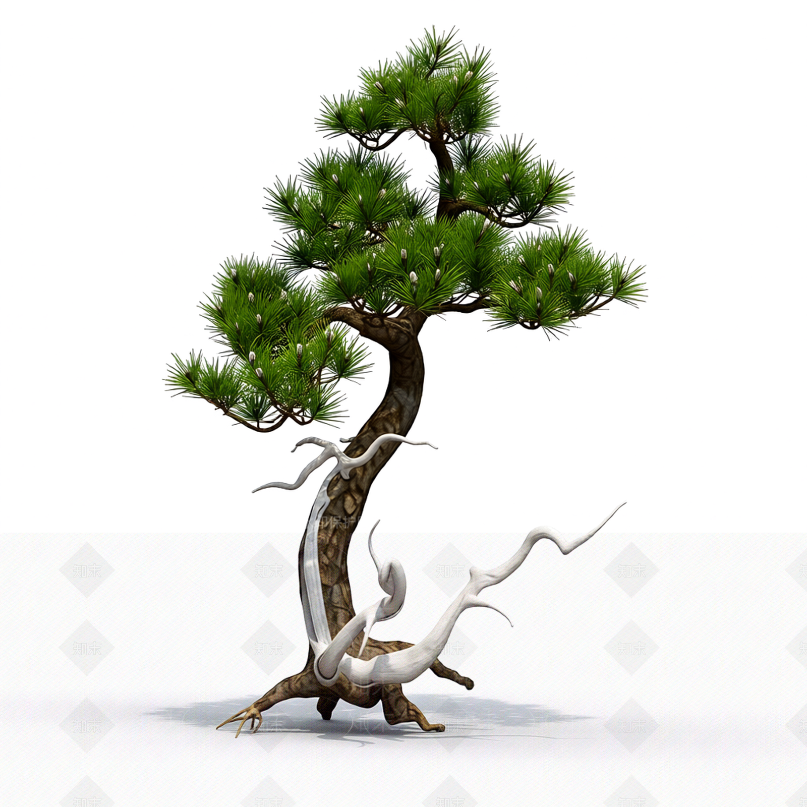 松树盆景模型3D模型下载【ID:1206183839】