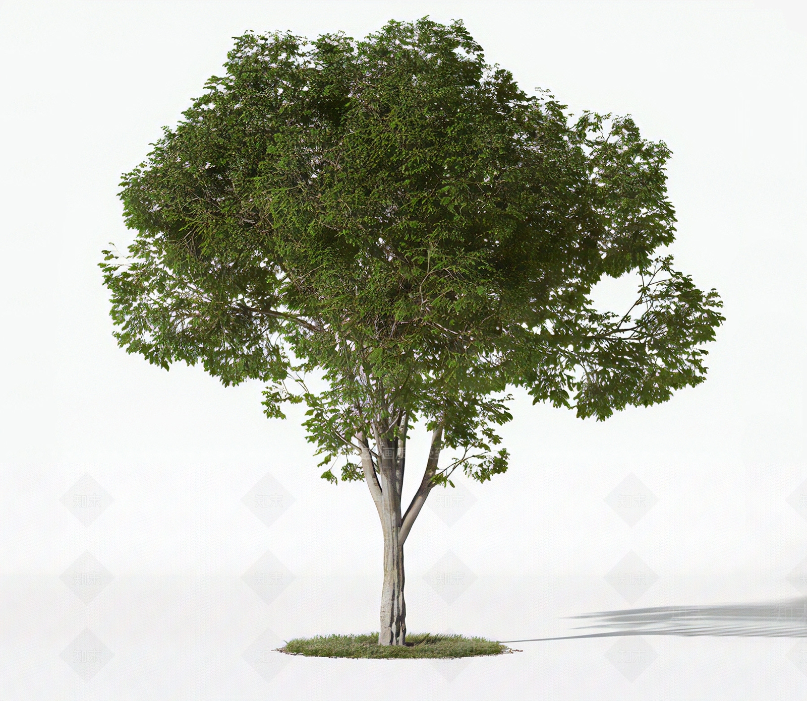 绿植树木3D模型下载【ID:1114788412】