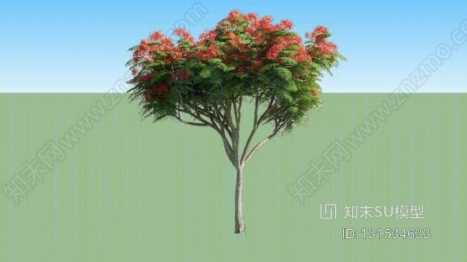 火焰树DelonixSU模型下载【ID:131534633】