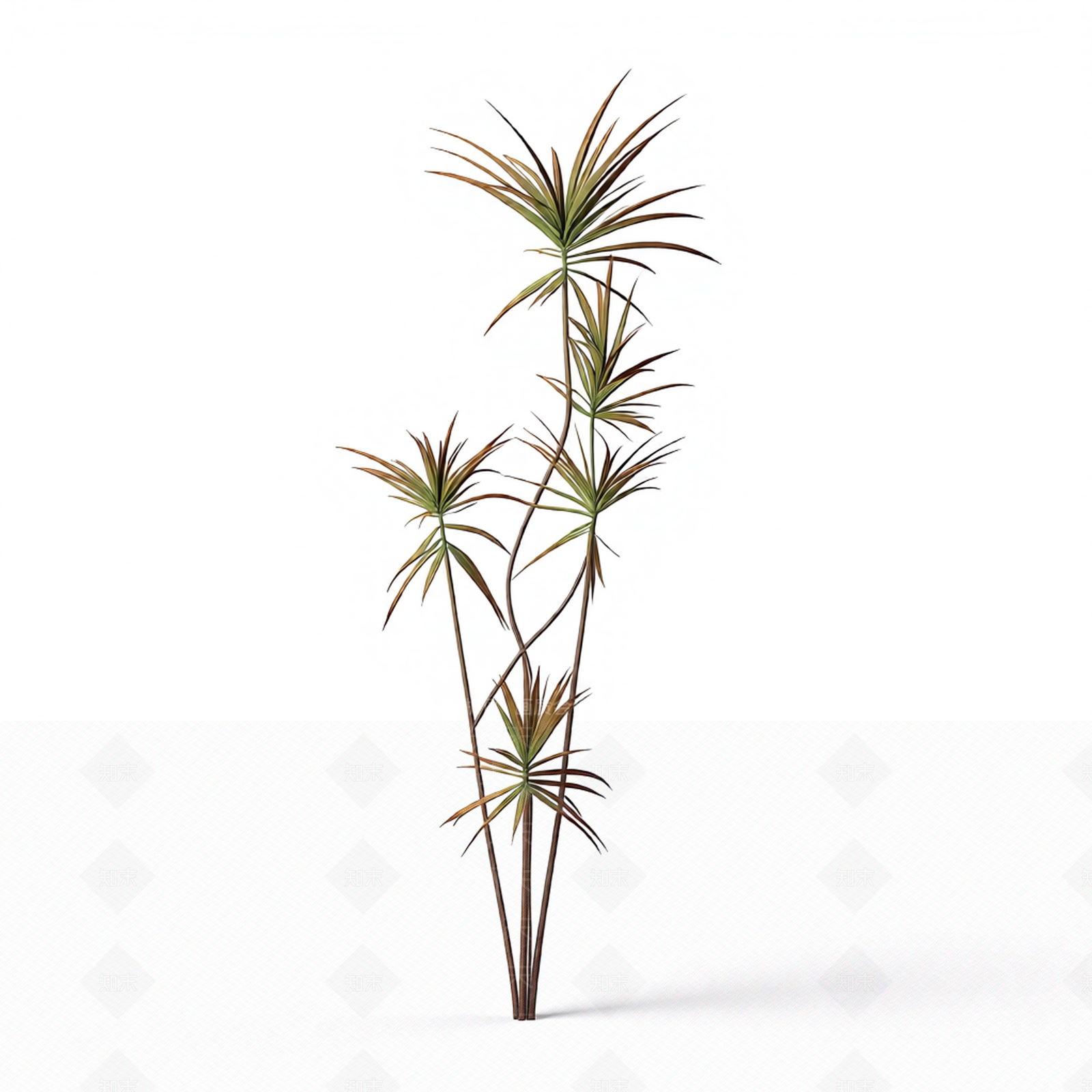 多枝棕榈植物模型3D模型下载【ID:1206186756】