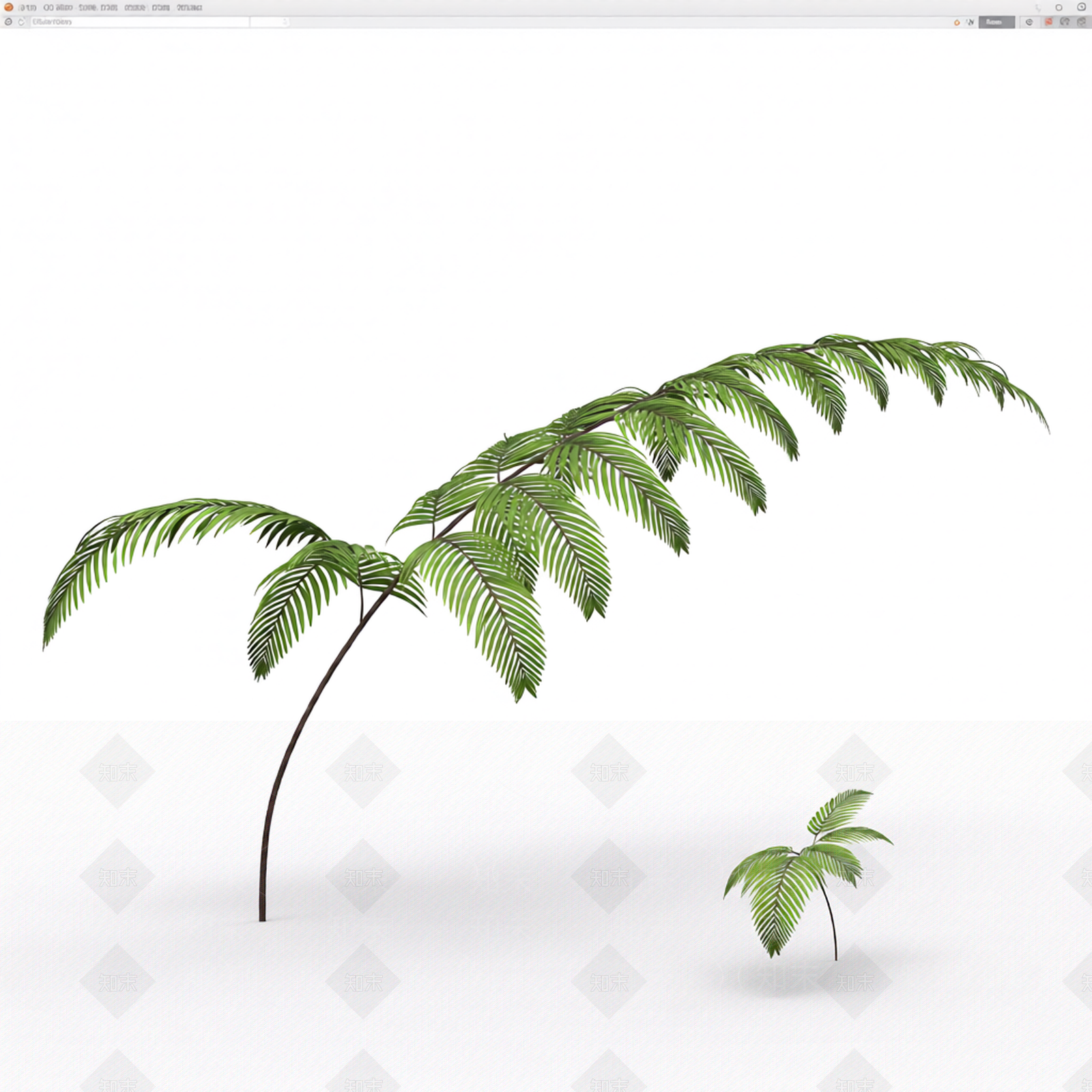 绿色蕨类植物模型3D模型下载【ID:1206194573】