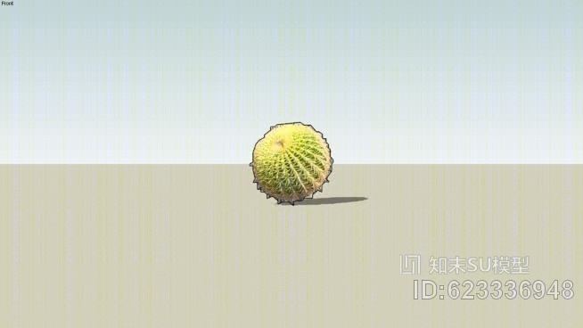 金筒仙人掌SU模型下载【ID:623336948】
