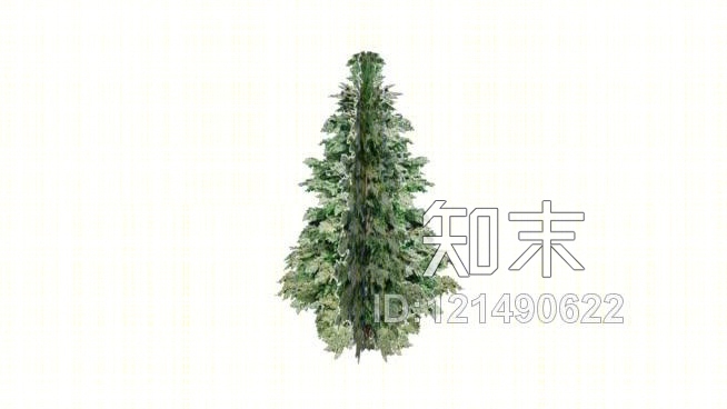 雪松树SU模型下载【ID:121490622】